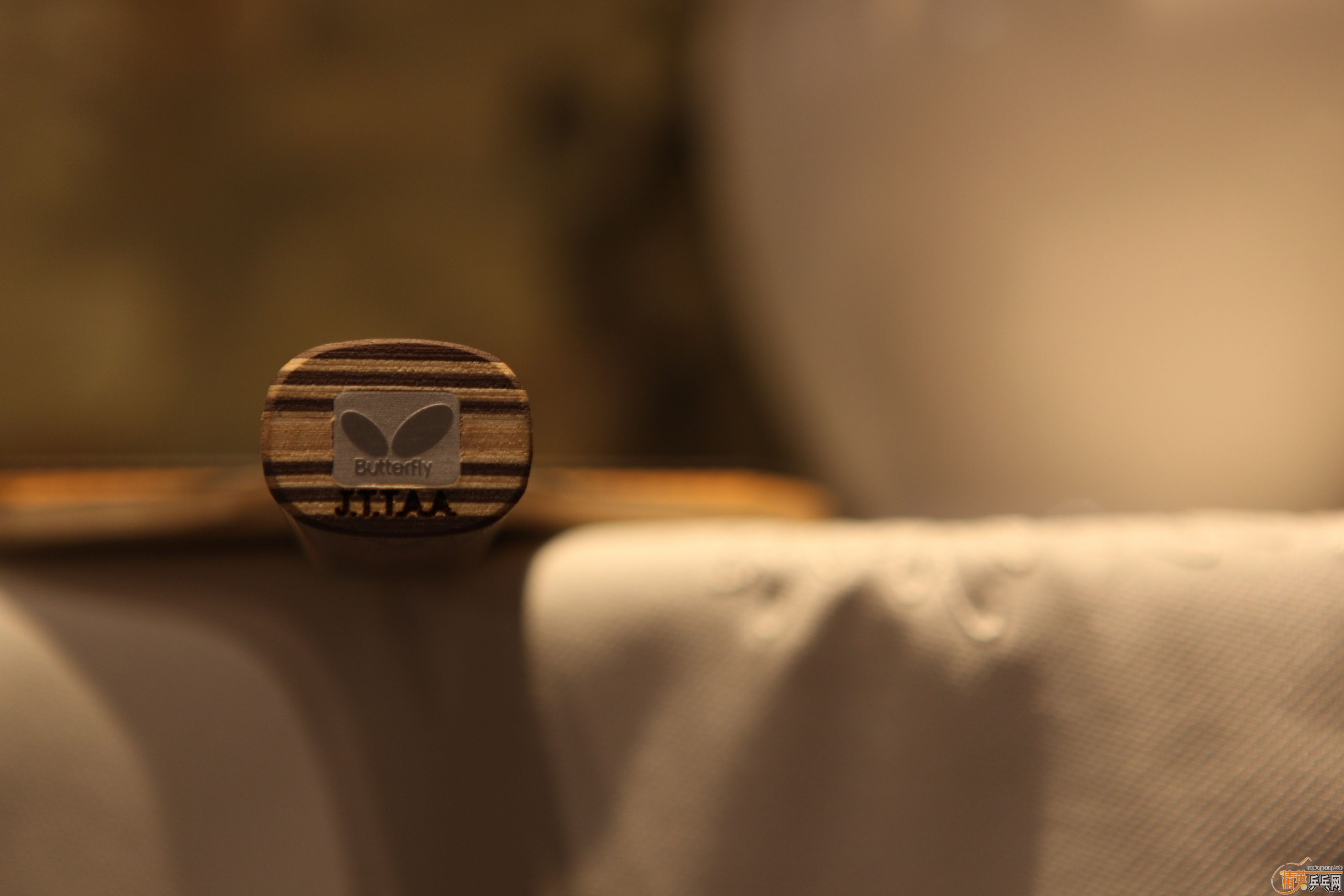 ���ۿƱ���CS������FLEXTRA`LKT�ڽ�ա��Ƚ�Ƥ��������ͼ�����ۡ�