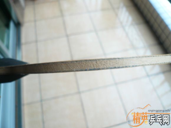 ���ѳ���ϣ��prasidha��ľ̼����ά��