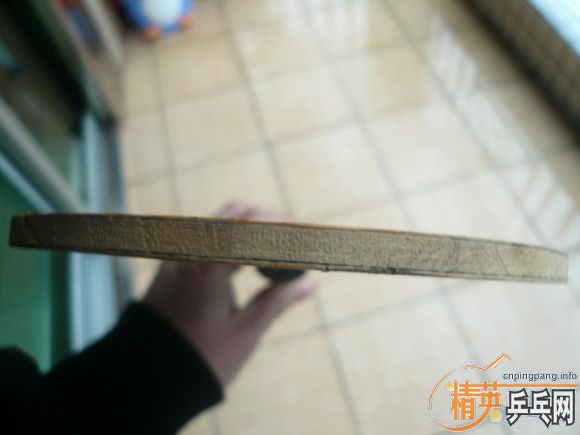 ���ѳ���ϣ��prasidha��ľ̼����ά��