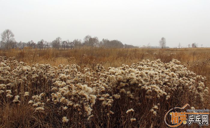 [��ͼ]���Ի��ƹ�ҽ���