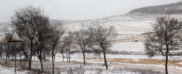 [��ͼ]���Ի��ƹ�ҽ���