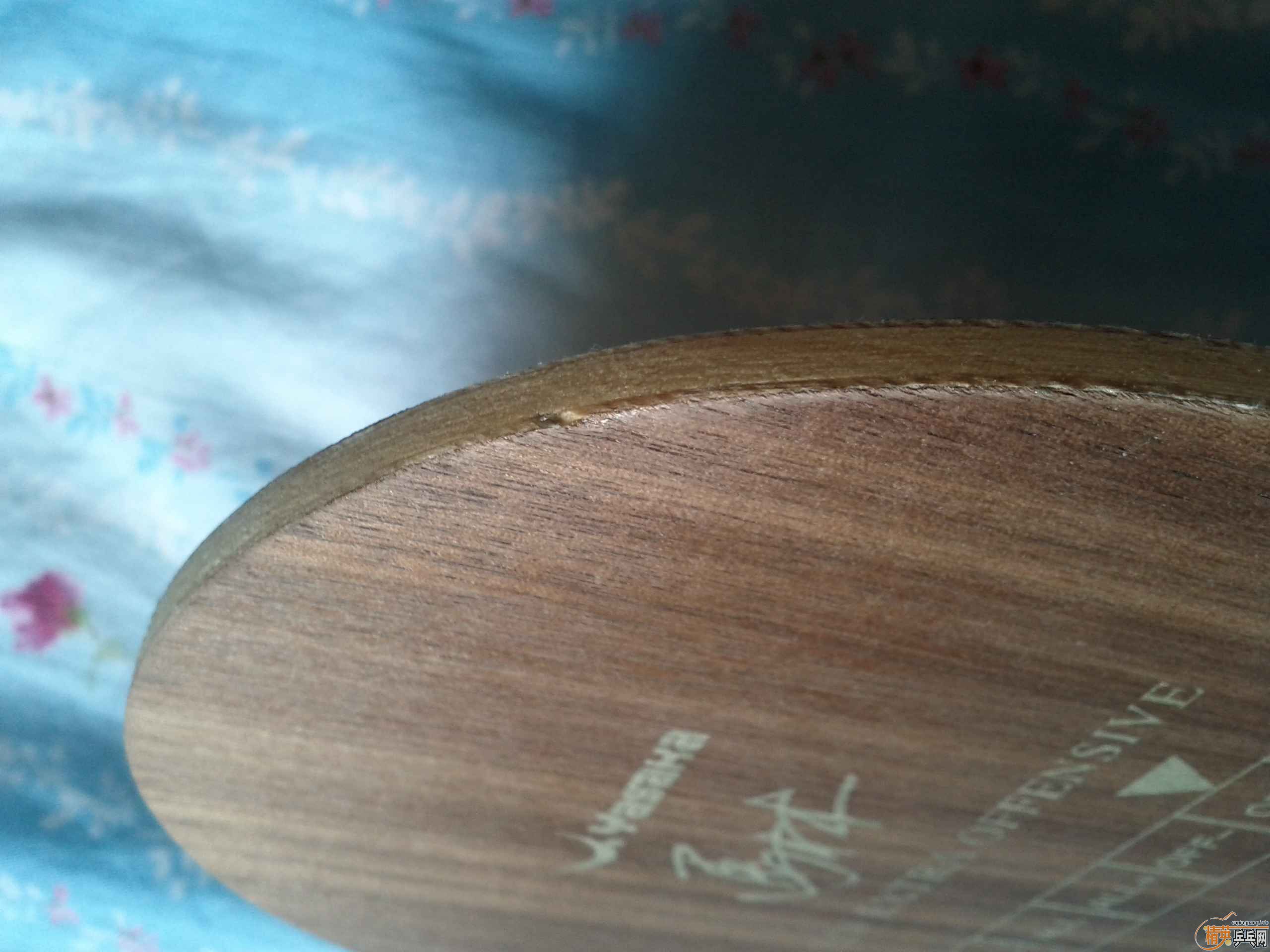 [����]֧��������Ʒ�໹����9�µ��հ�YEO��400������