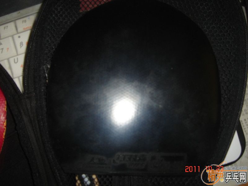 ���հ�yeo  ȫ�ס�����