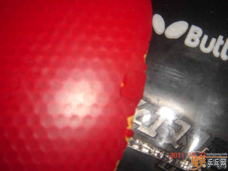 ���հ�yeo  ȫ�ס�����