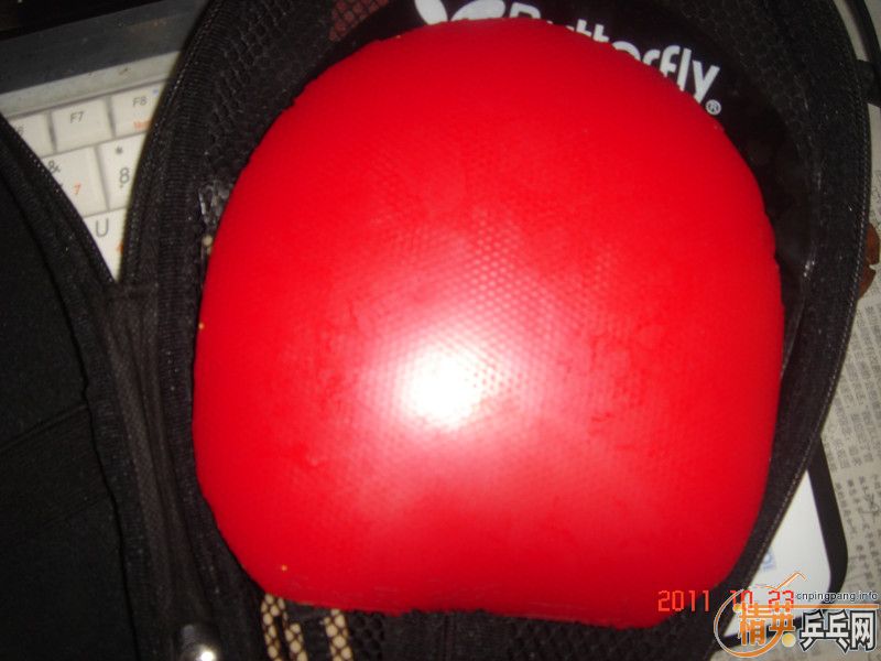 ���հ�yeo  ȫ�ס�����