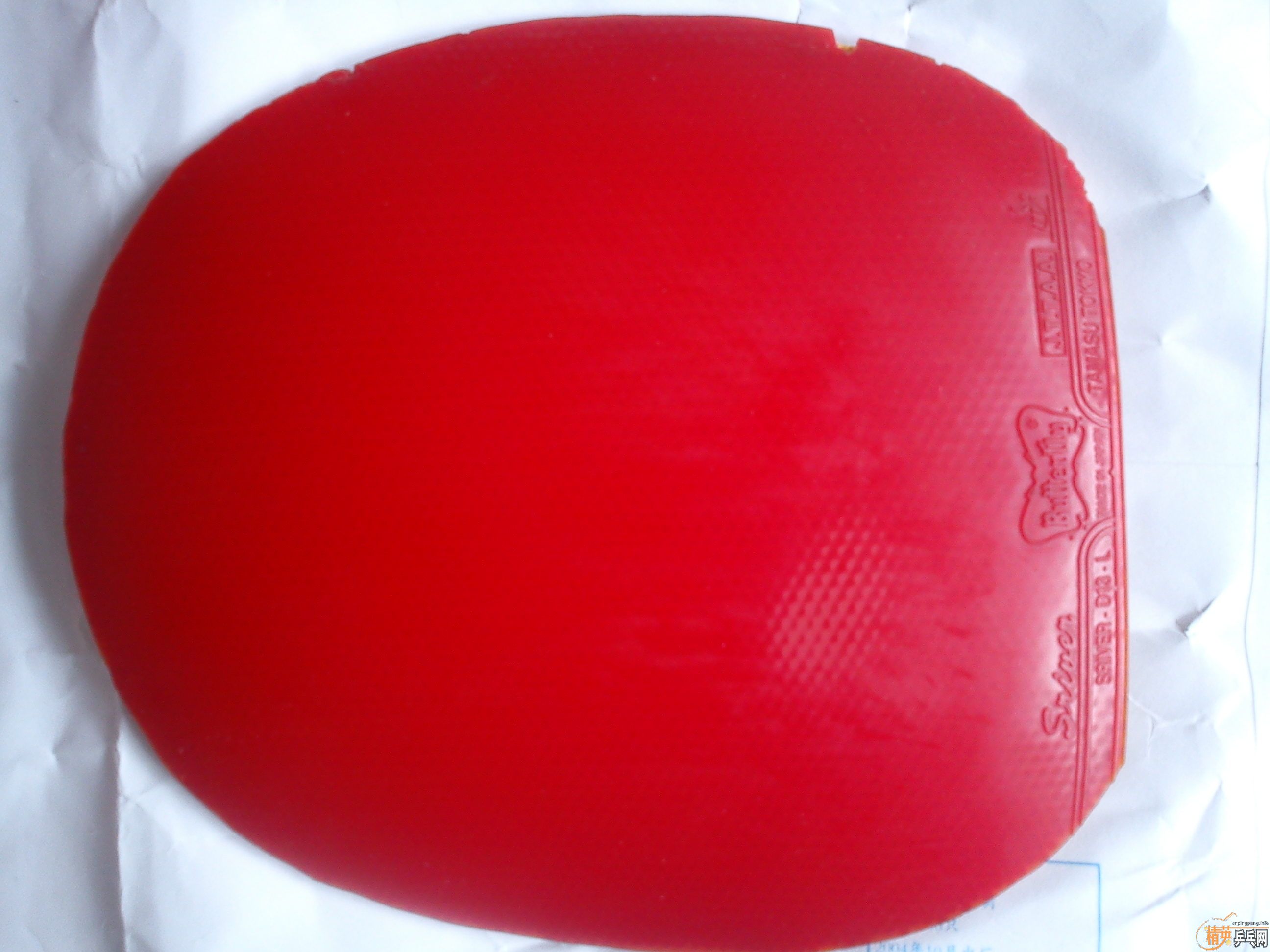һЩ׽