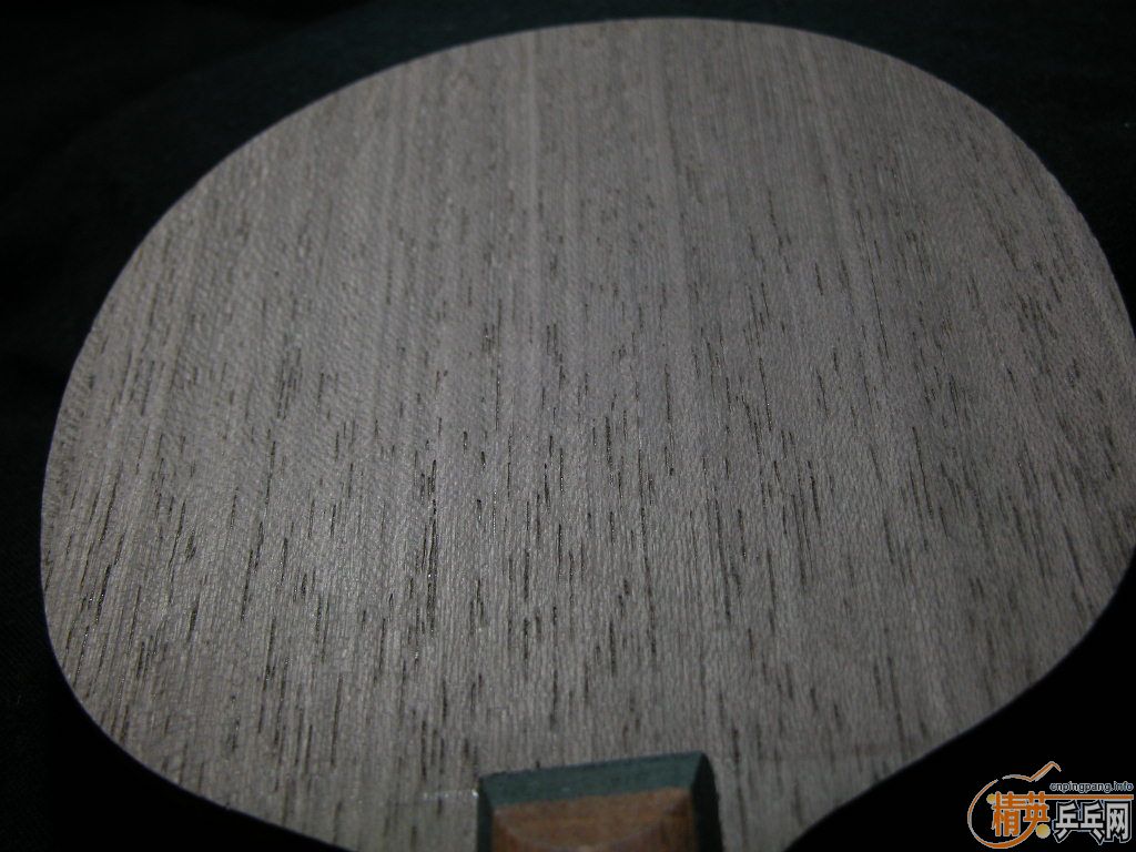 ����Ŷ�������߻����ģ��������