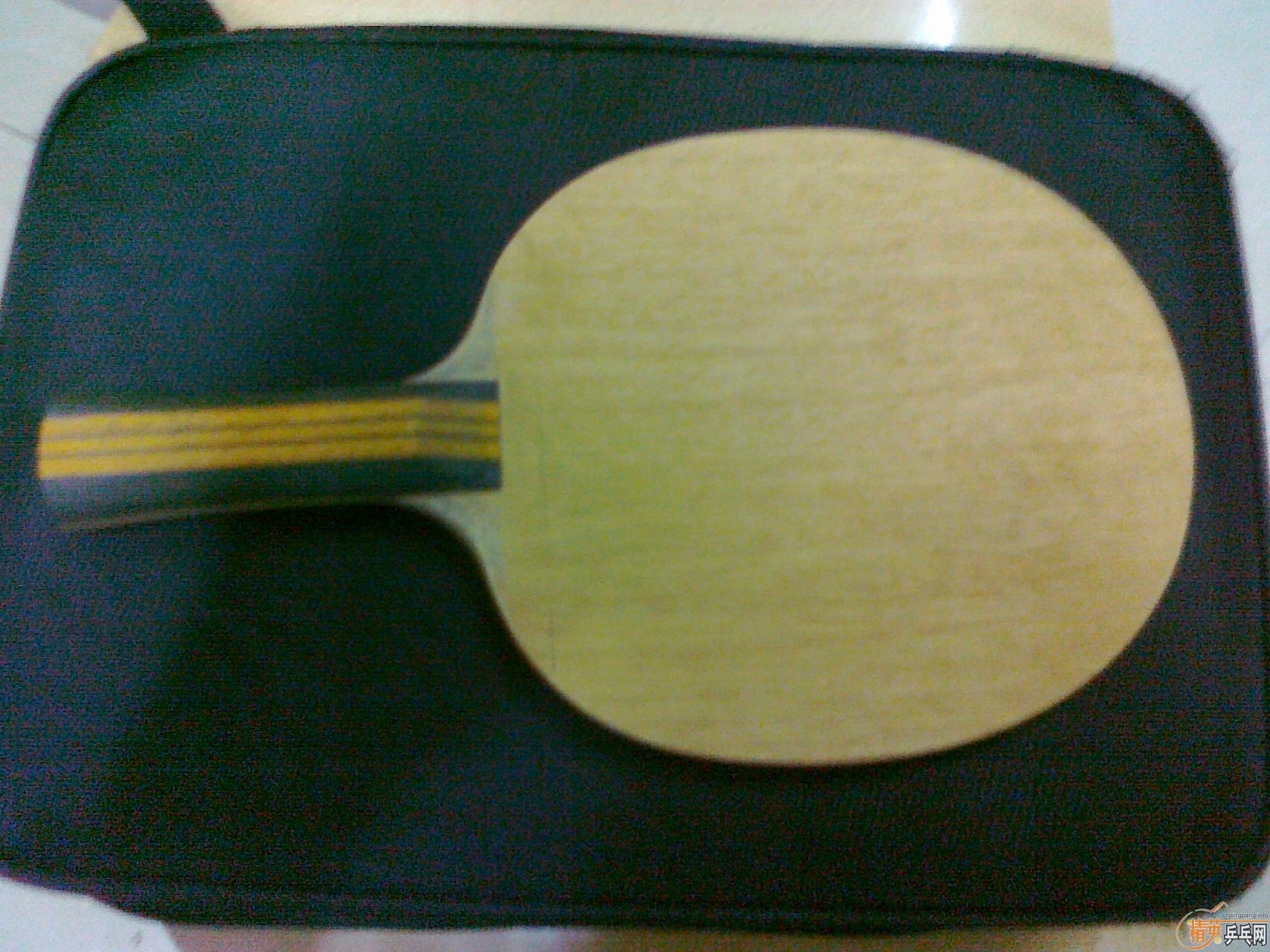 500��ľ������Ҳ�ɻ���................................................