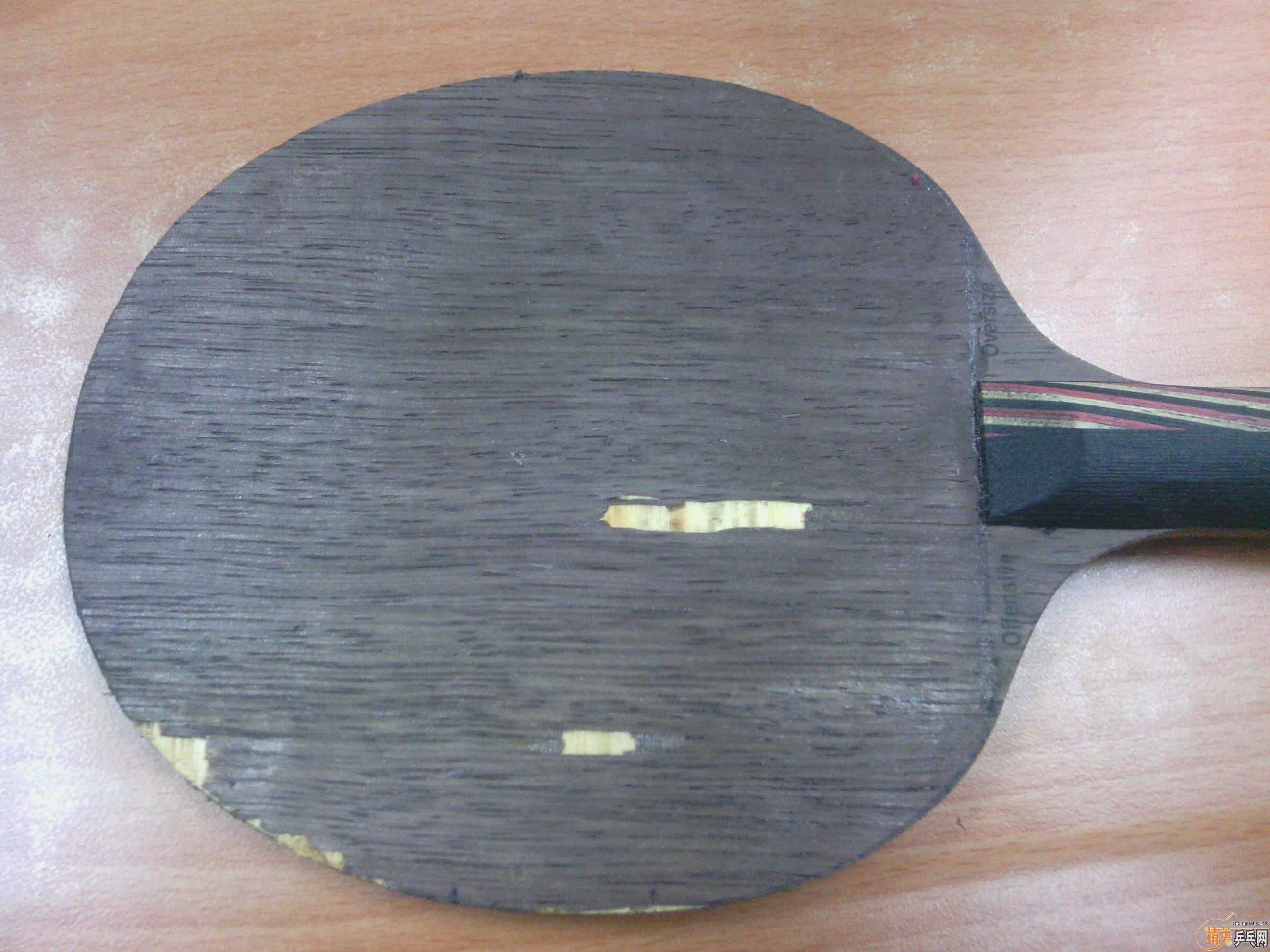 190Ԫ����STIGA OC�Ӵ���� + ��ɫʡ�� + ��ɫSriver EL