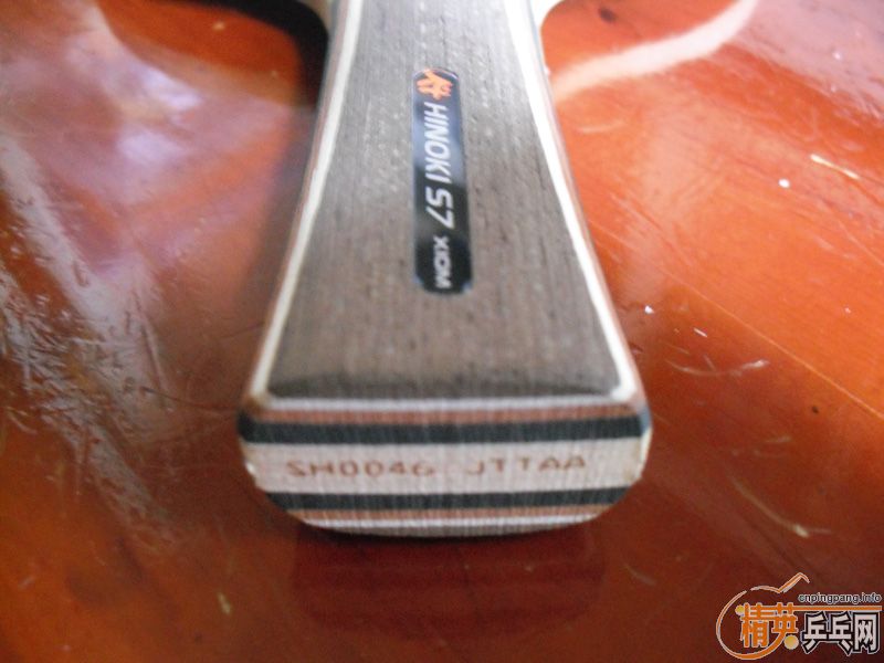 �Գ�XIOM��ɷFL������E1FL����֧������