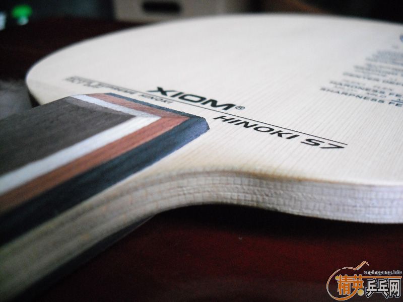 �Գ�XIOM��ɷFL������E1FL����֧������