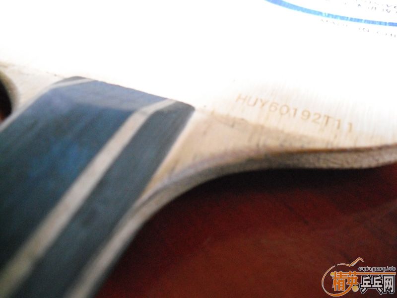 �Գ�XIOM��ɷFL������E1FL����֧������