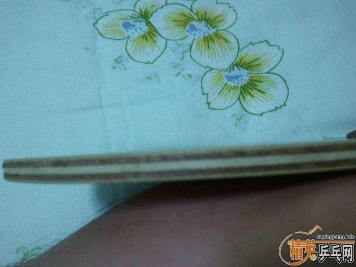 ..........��....ֱ�ģ�.......stiga.. ����̼��...........nittaku..���ִ���...................