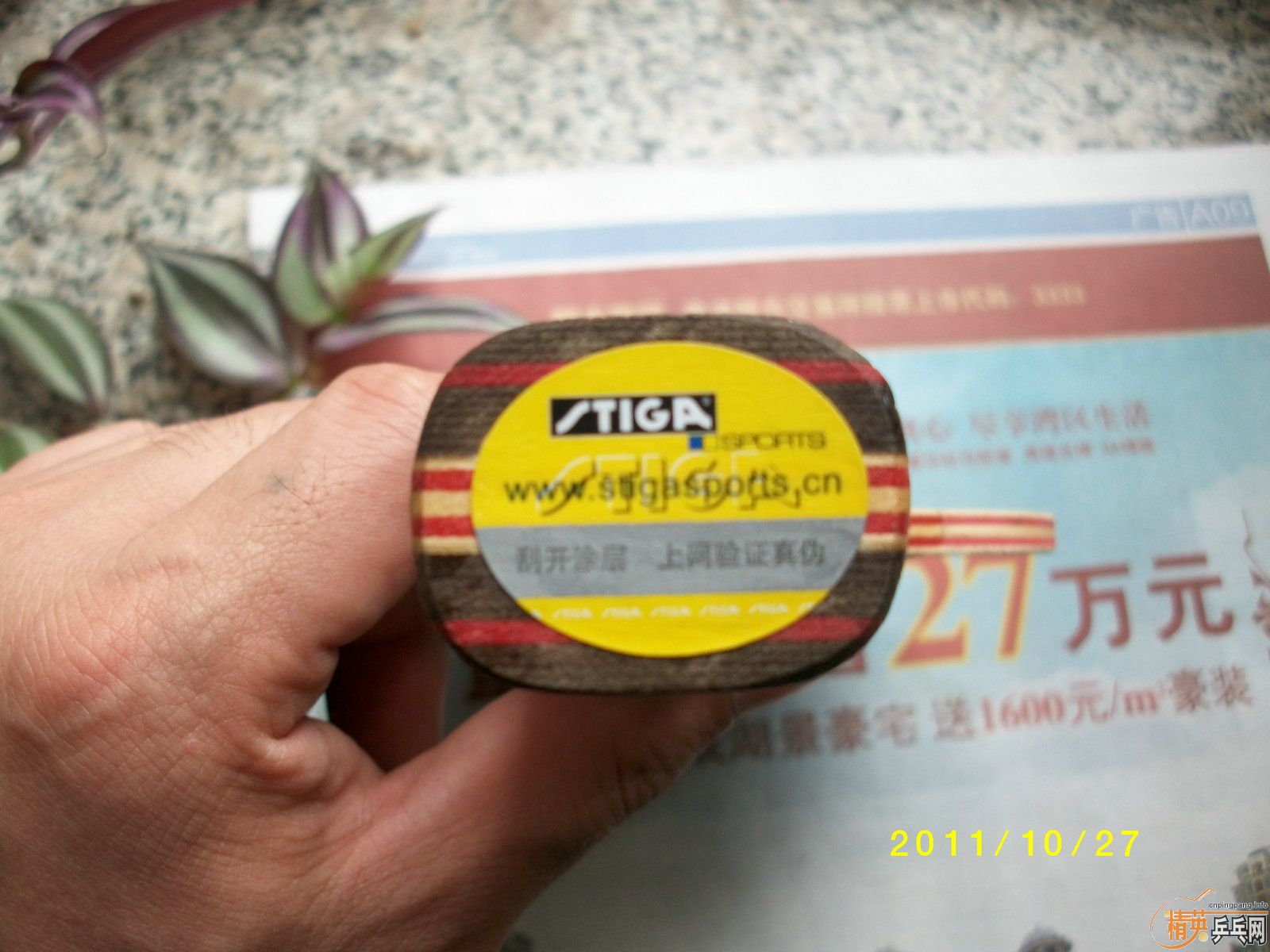 ���ҳ��׵�CL ϲ��������