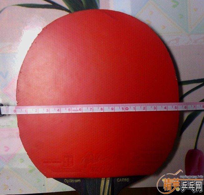 ���۵²��罺