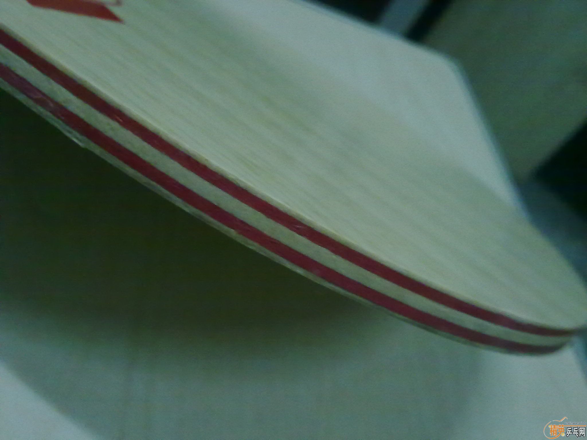 ������ڸ����Stiga-CL-CR