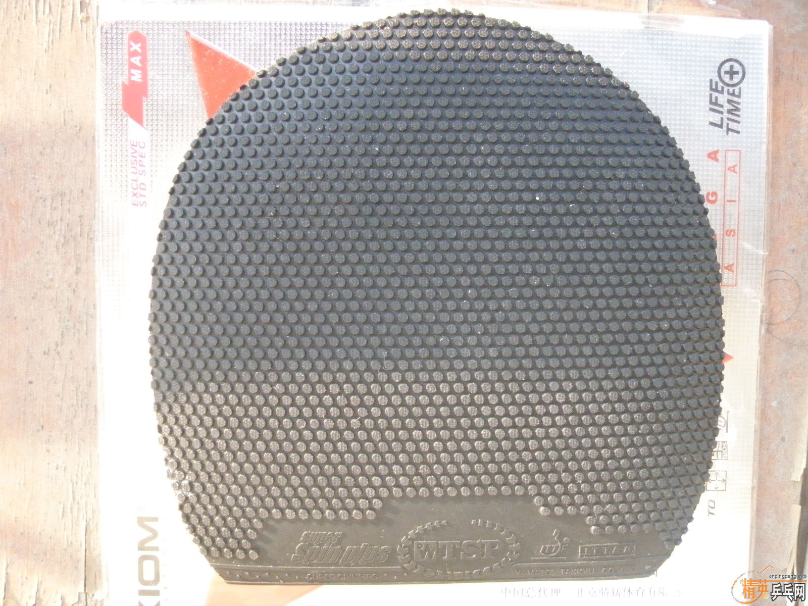 ��ɫֱ����TSP��������ɫ��������������