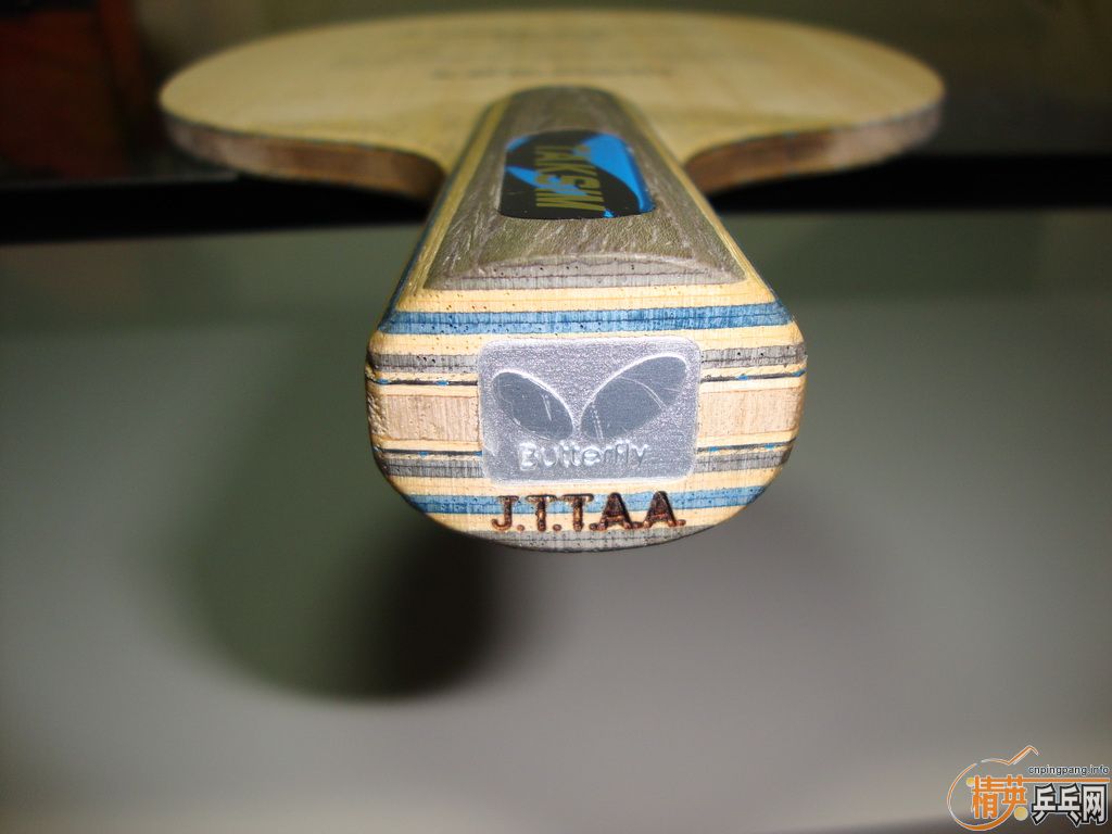 ��һ��ֱ���������Butterfly TAKSIM)