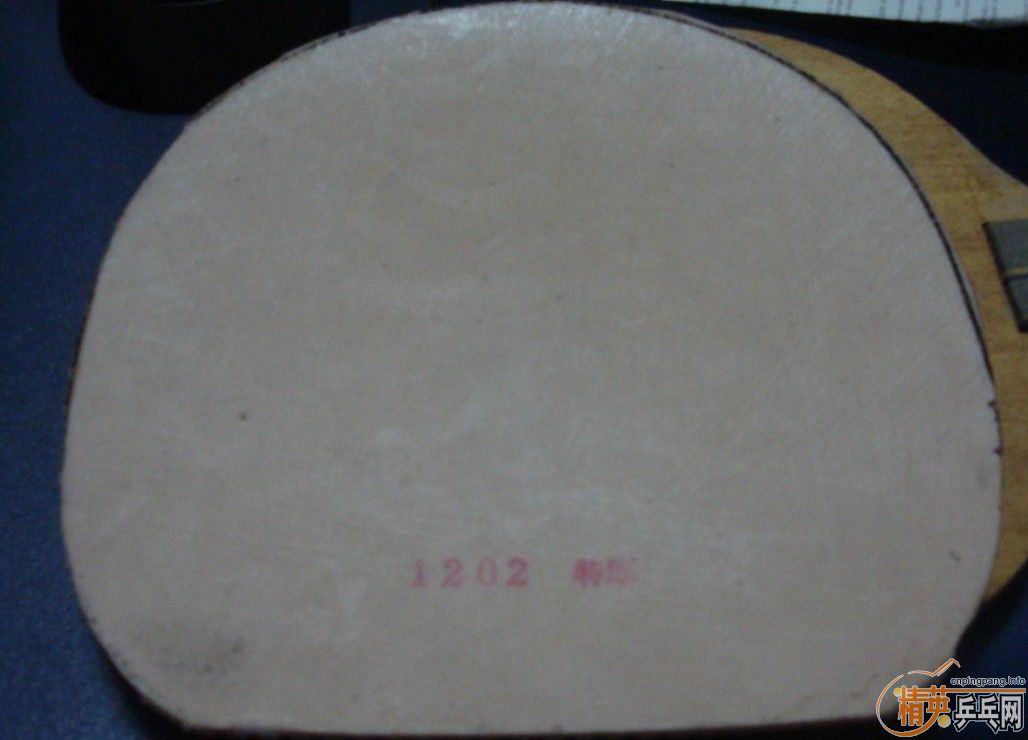ivpqfM13.jpg