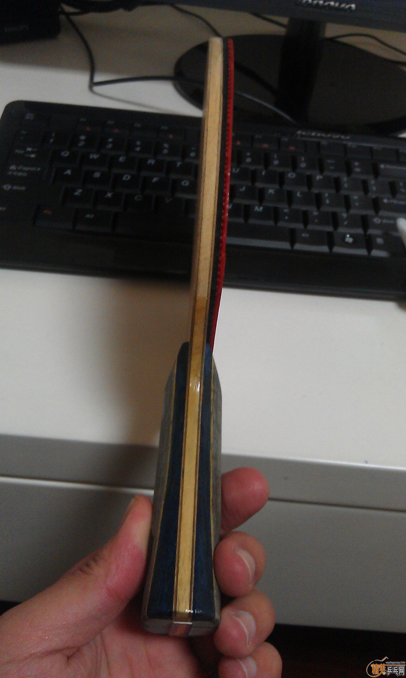 ~~~~������������̼