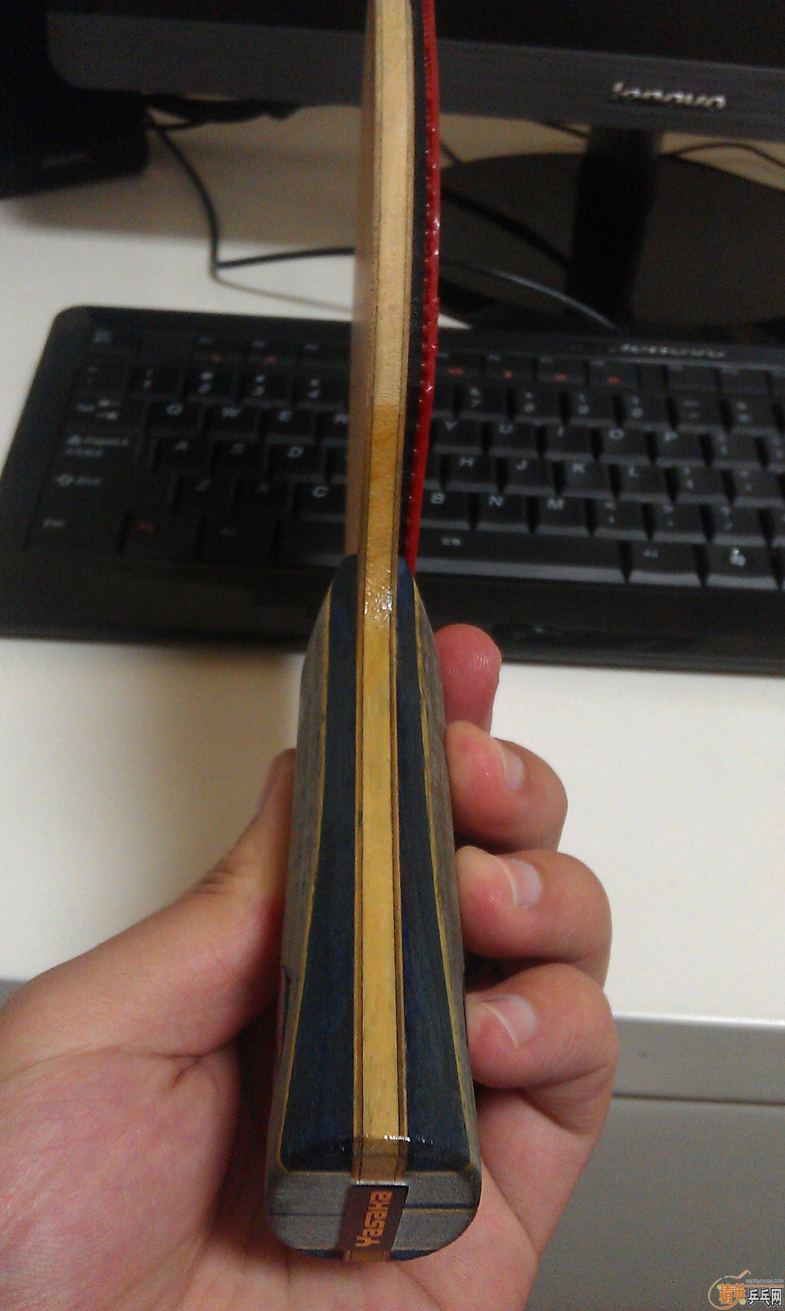 ~~~~������������̼