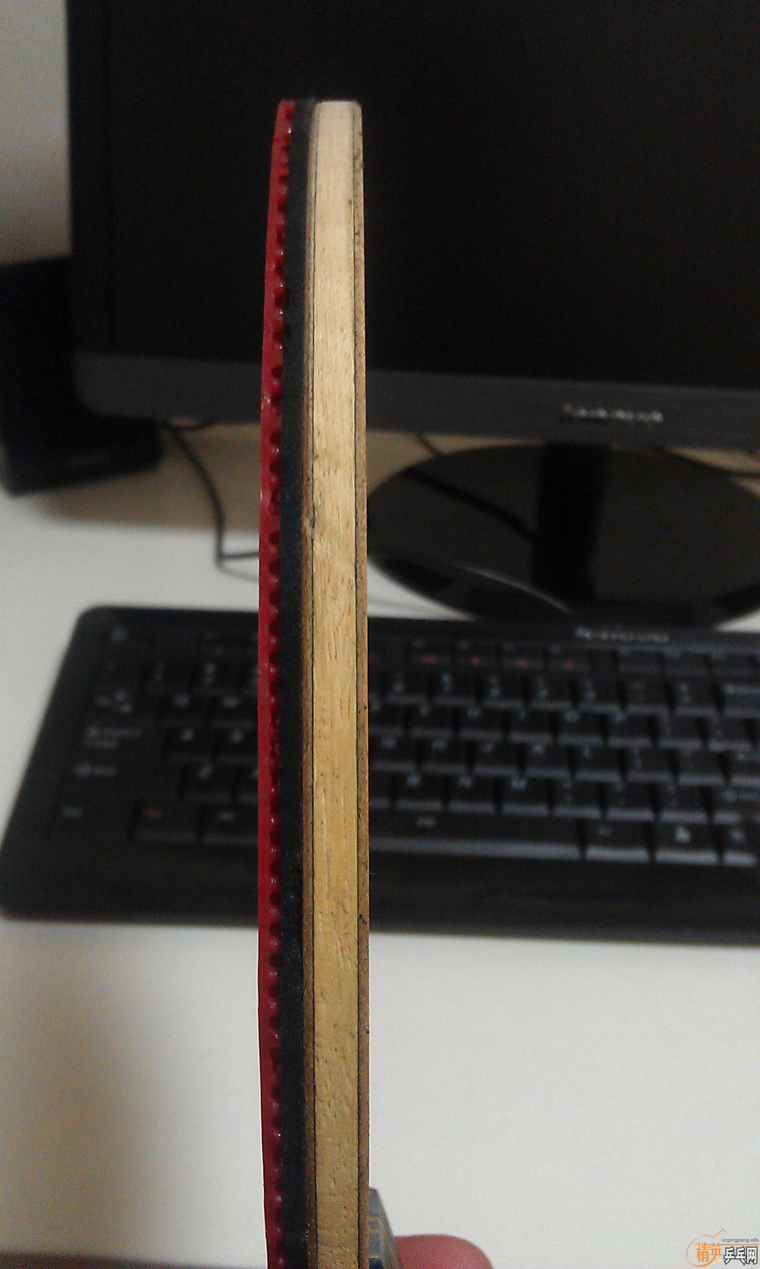 ~~~~������������̼