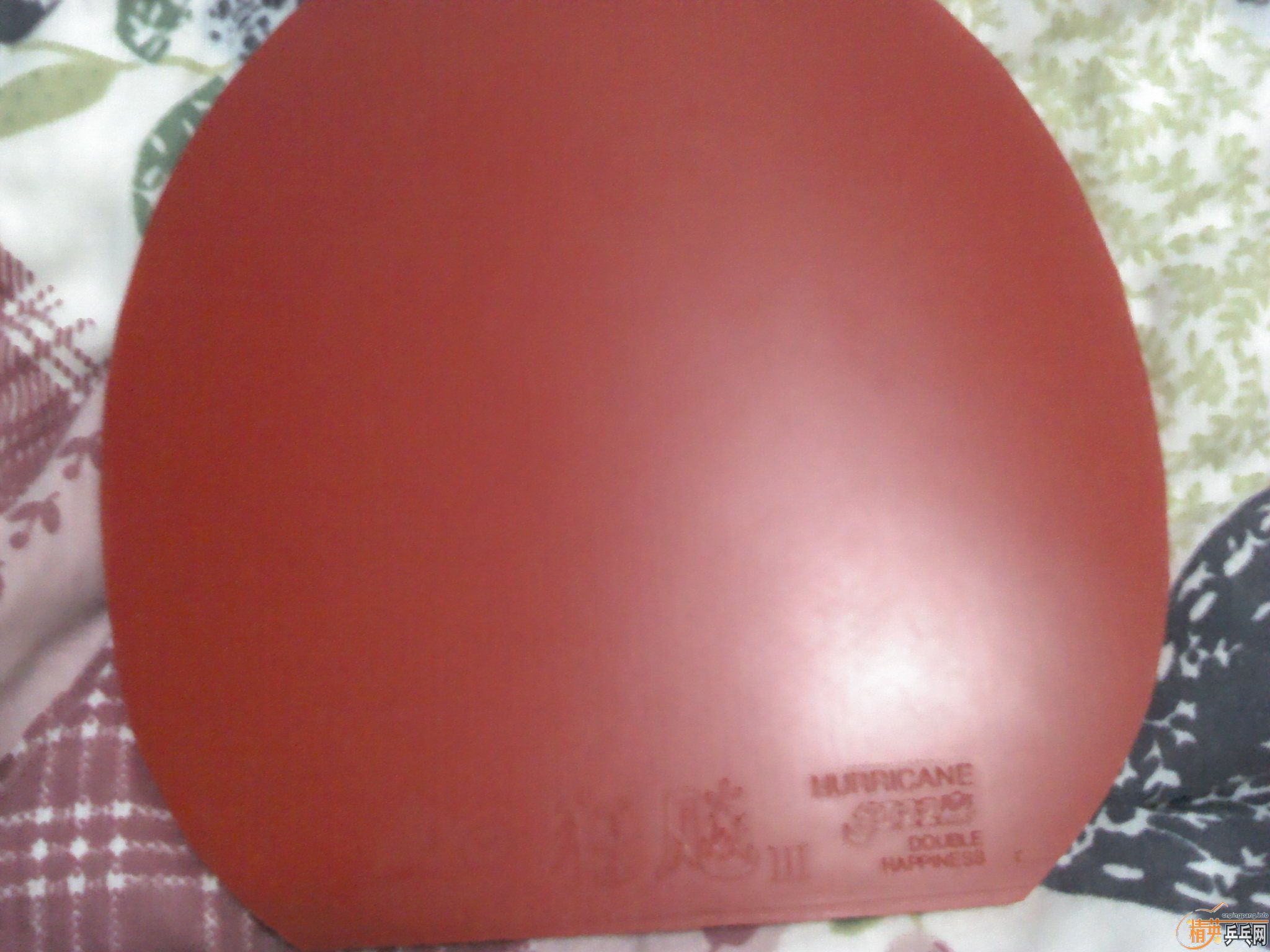 ��9.8��ŷ��stiga cl cr wrb  ��һ��ʮ ƭ����  ֧��������