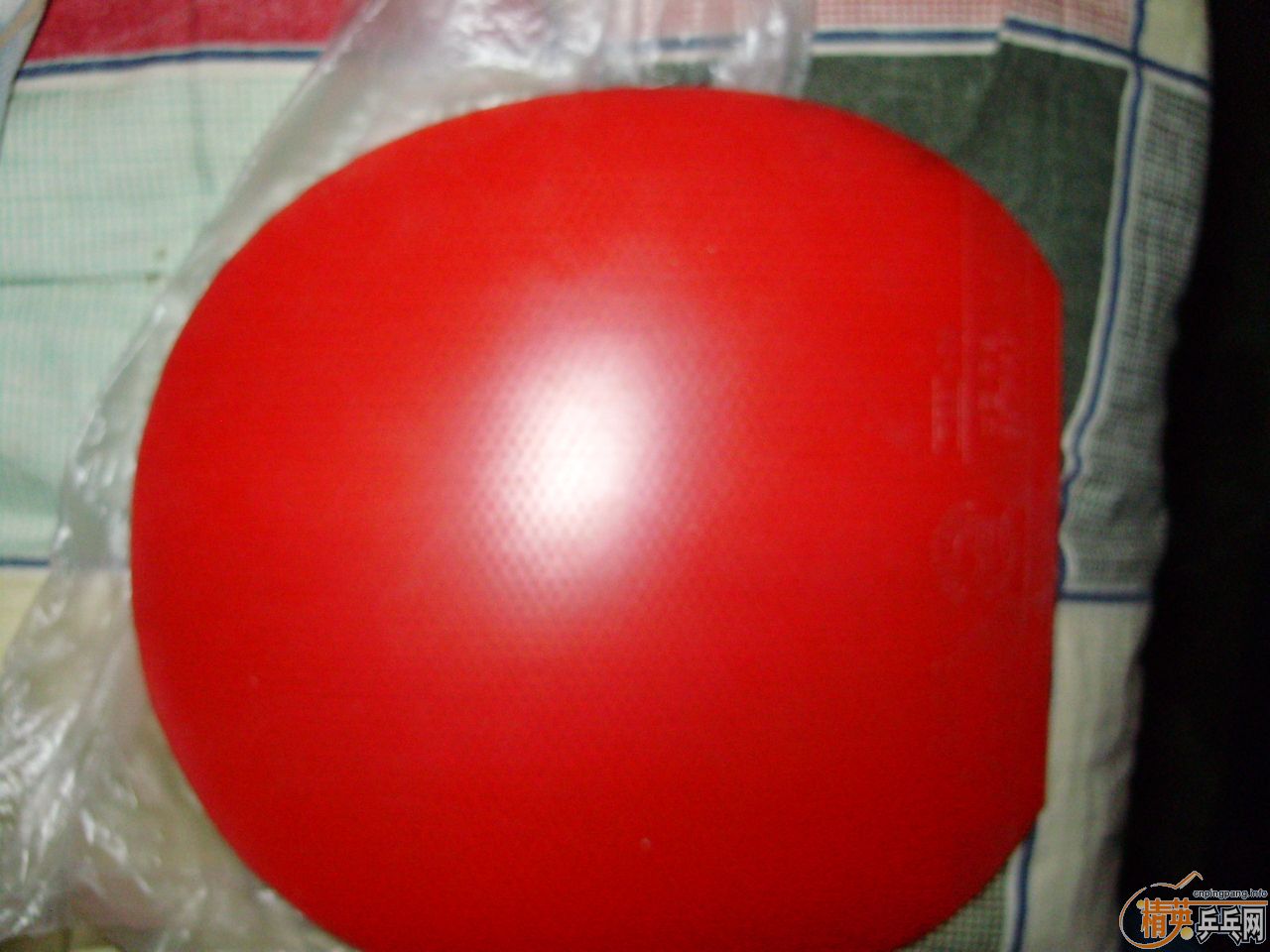 [ע��]���ѳ���������׽������90����