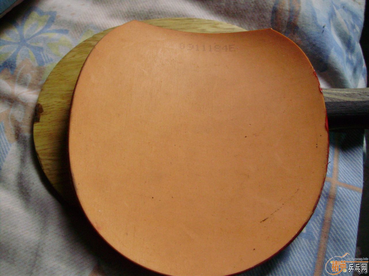 [ע��]���ѳ���������׽������85����