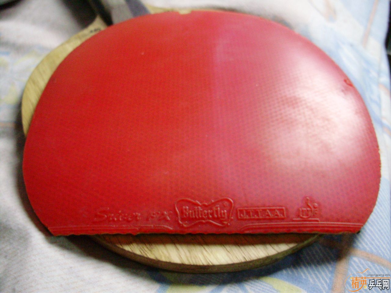 [ע��]���ѳ���������׽������85����