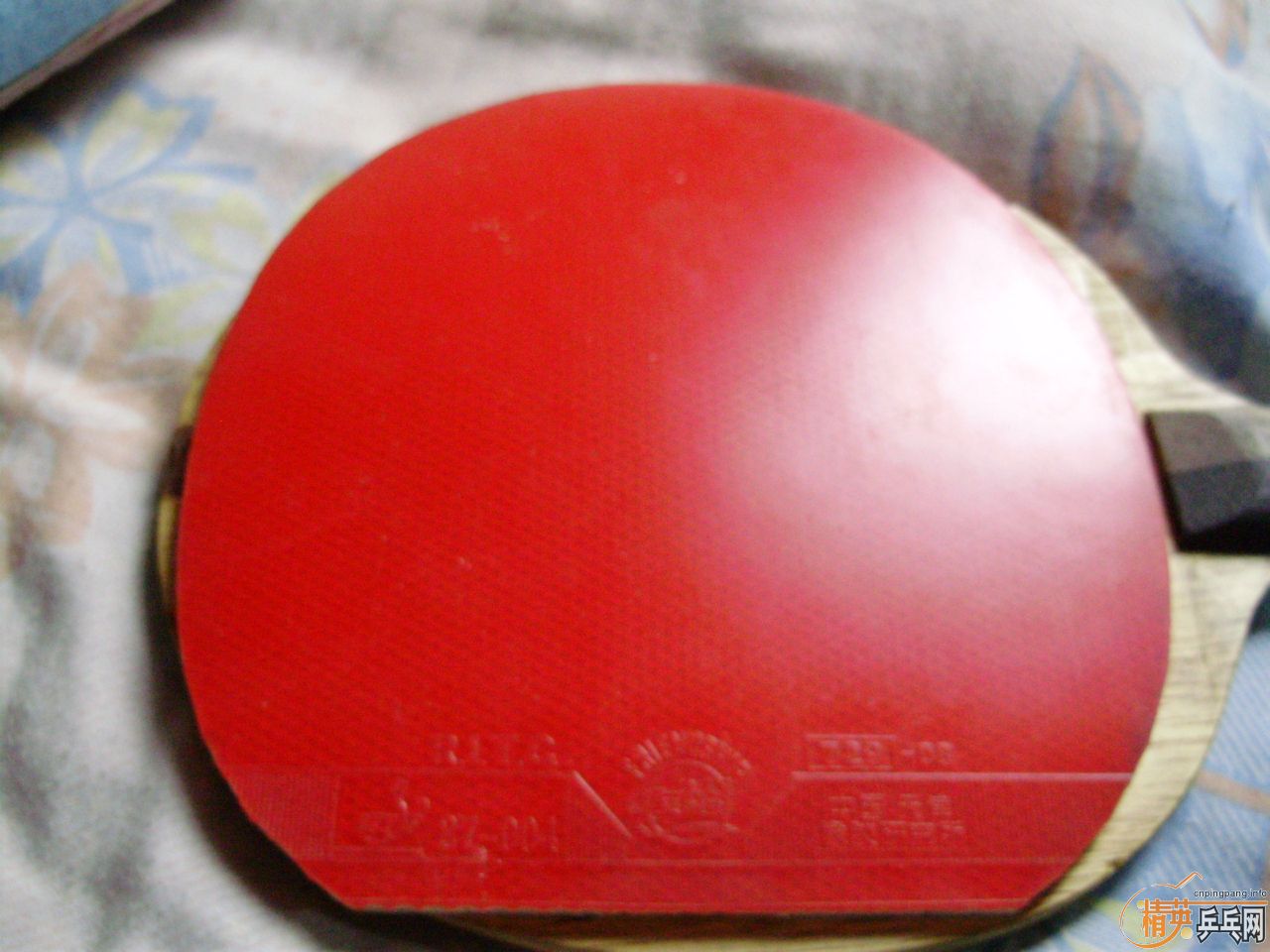 [ע��]���ѳ���������׽������85����