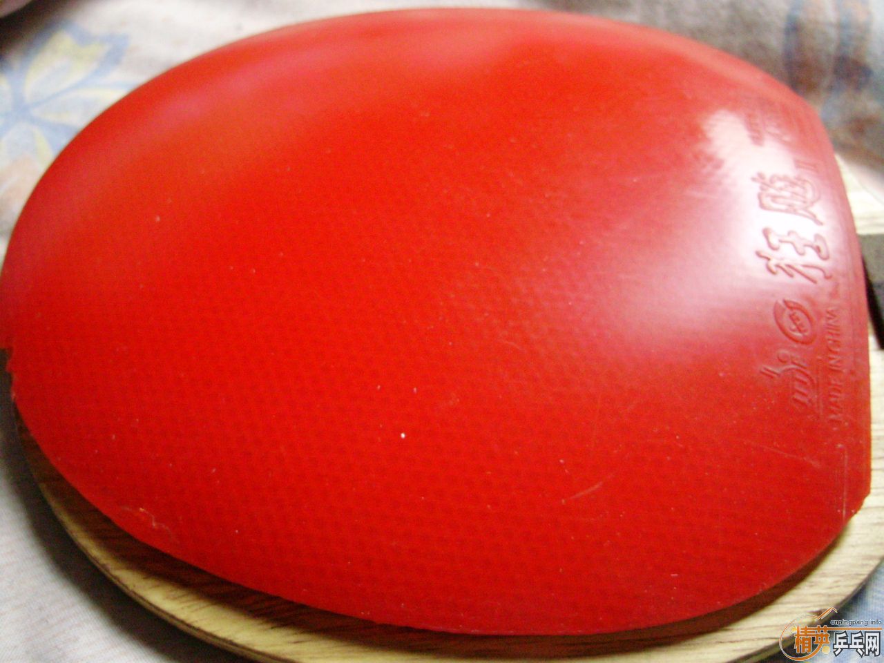 [ע��]���ѳ���������׽������85����