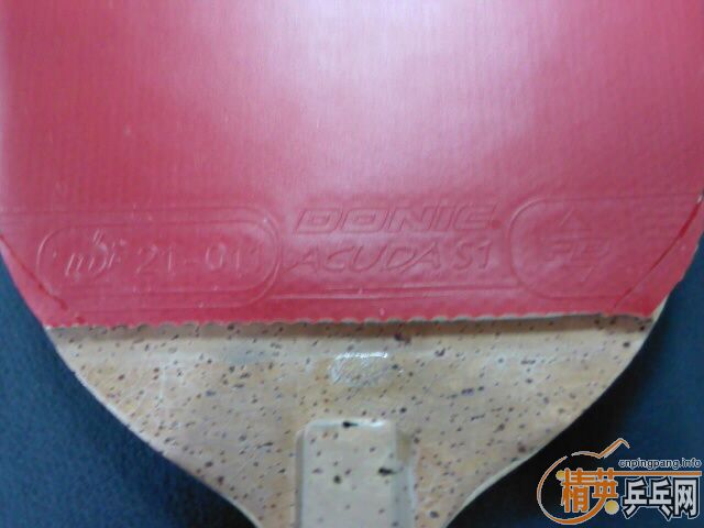 DONIC-S1   ֱCYPRESS MAX