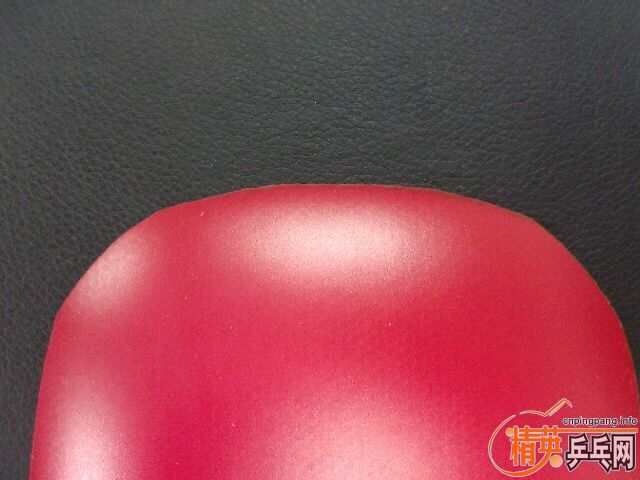 DONIC-S1   ֱCYPRESS MAX
