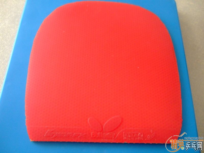 [ԭ��]֧������������FX ��ֱ���棬��ɫ��85�£�220����