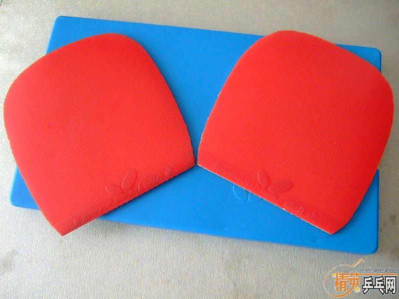 [ԭ��]֧������������FX ��ֱ���棬��ɫ��85�£�220����