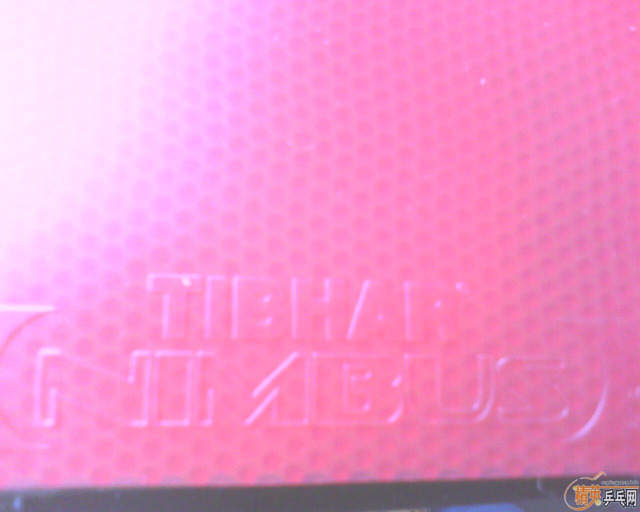 ���VIP 135����