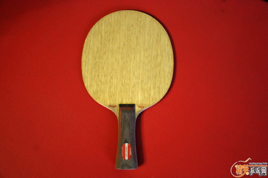 ����׽�---�������---���