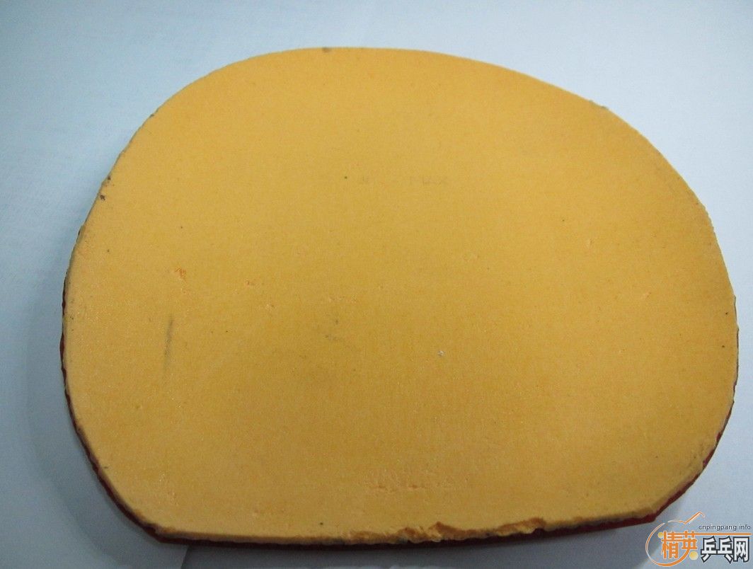 09��������ľʾEG����������������ɫEL.����������������������������������������