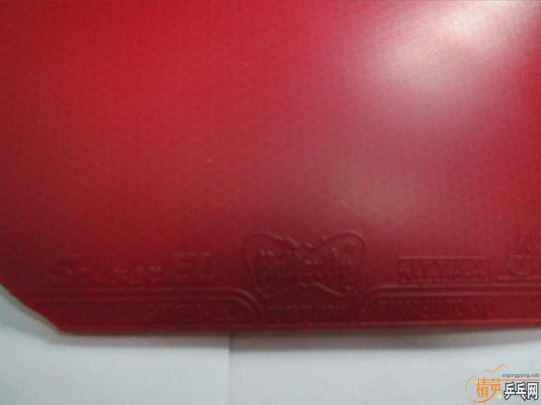 09��������ľʾEG����������������ɫEL.����������������������������������������