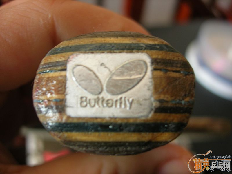 ����������ưߵ��л�������