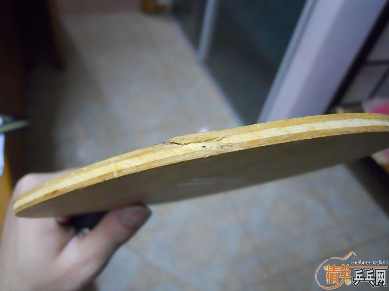 [�Ƽ�]�ߵ��� �������� ��𩣻