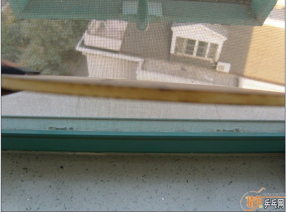 ��һ��ֻ����һ�ε�ŷ��OC-CR-WRB��һ��ֻ����һ�εĶ����F1