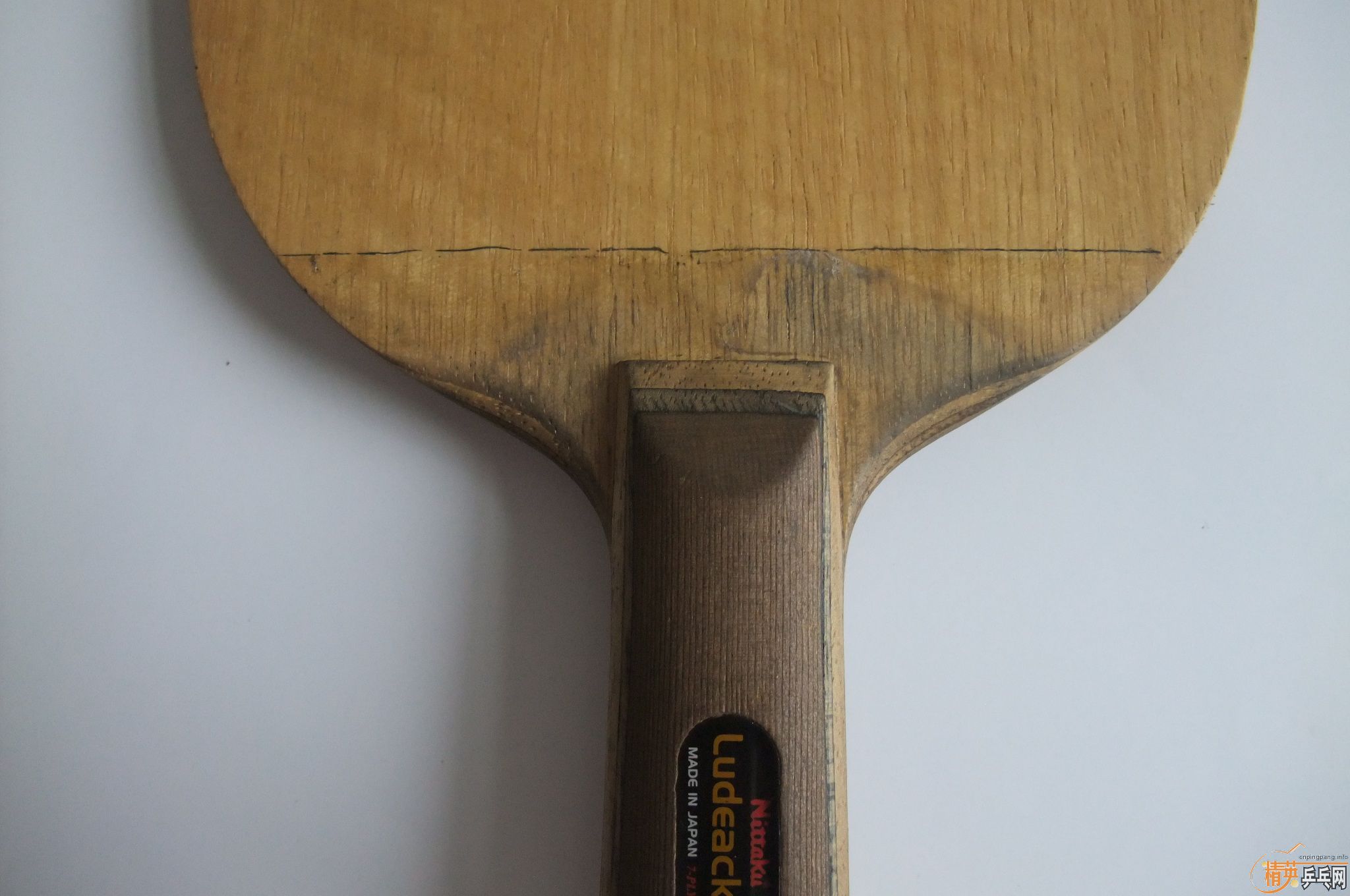 ���������������յڶ�������NittakuС���л�õ��5���������