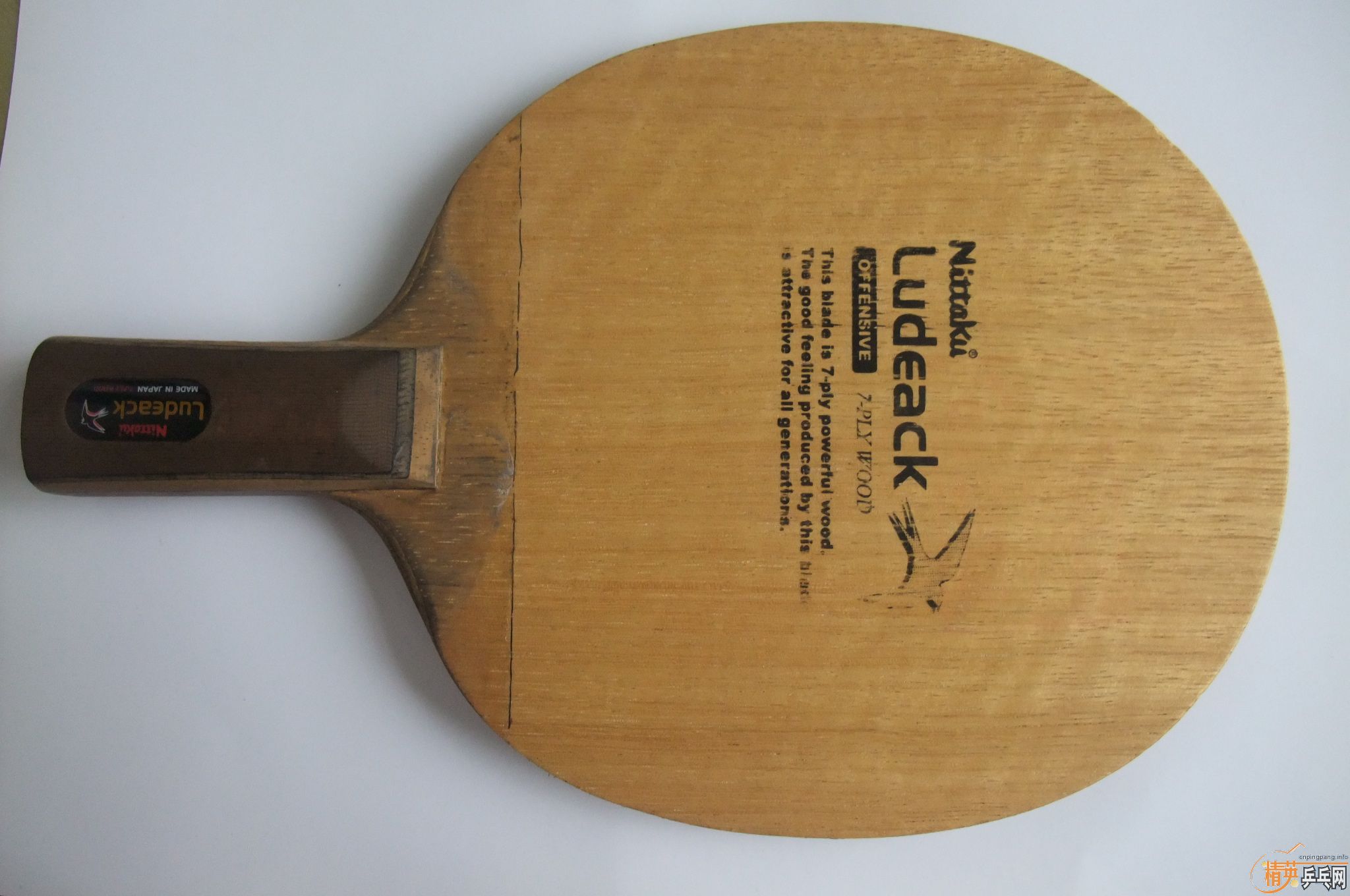 ���������������յڶ�������NittakuС���л�õ��5���������