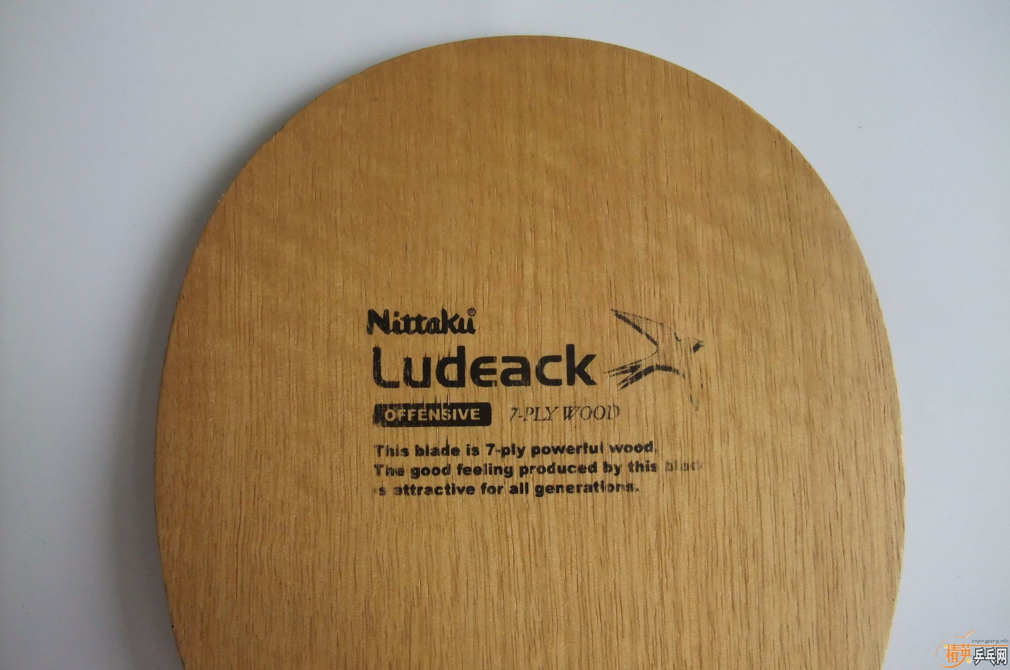 ���������������յڶ�������NittakuС���л�õ��5���������