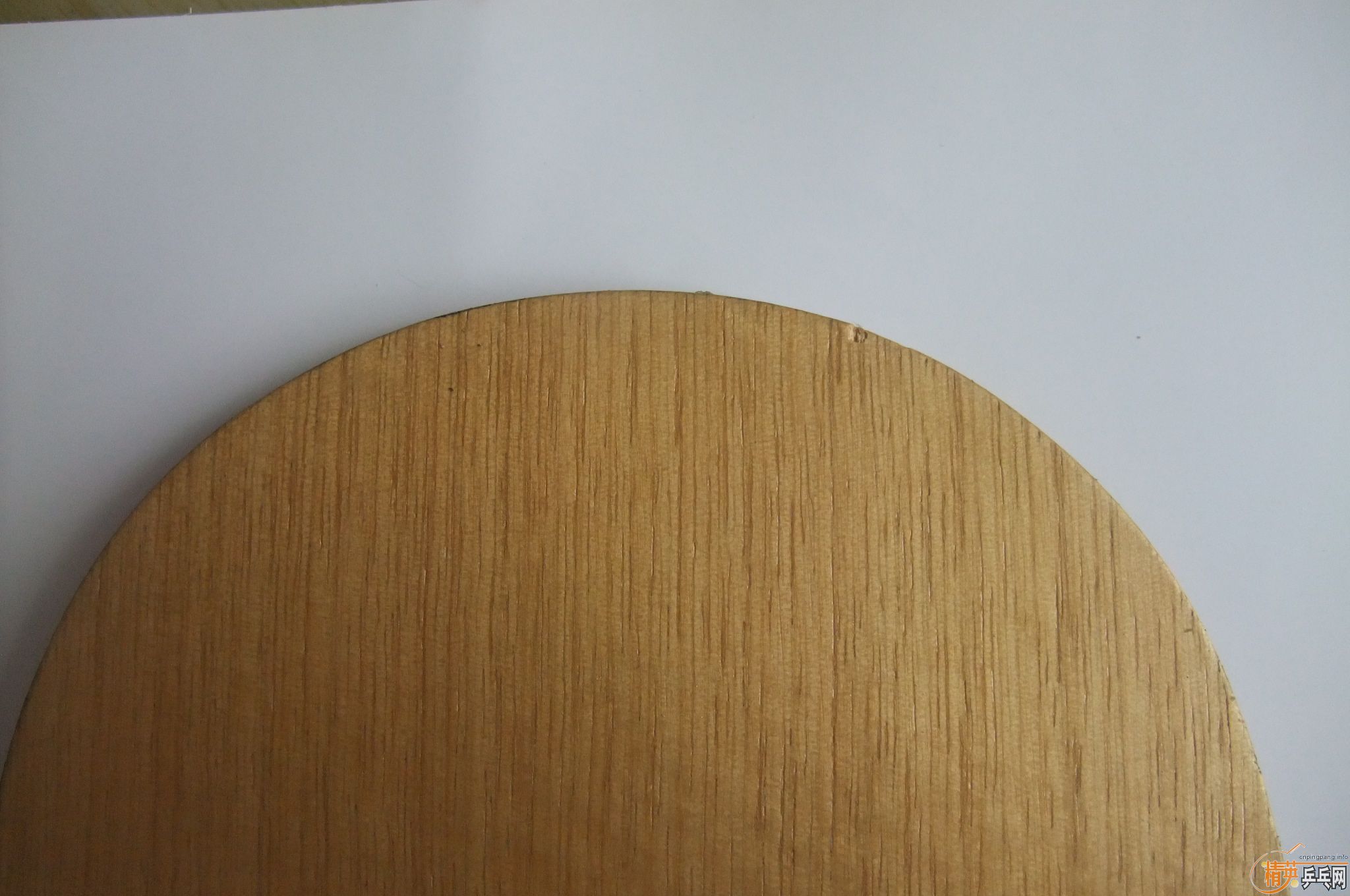 ���������������յڶ�������NittakuС���л�õ��5���������