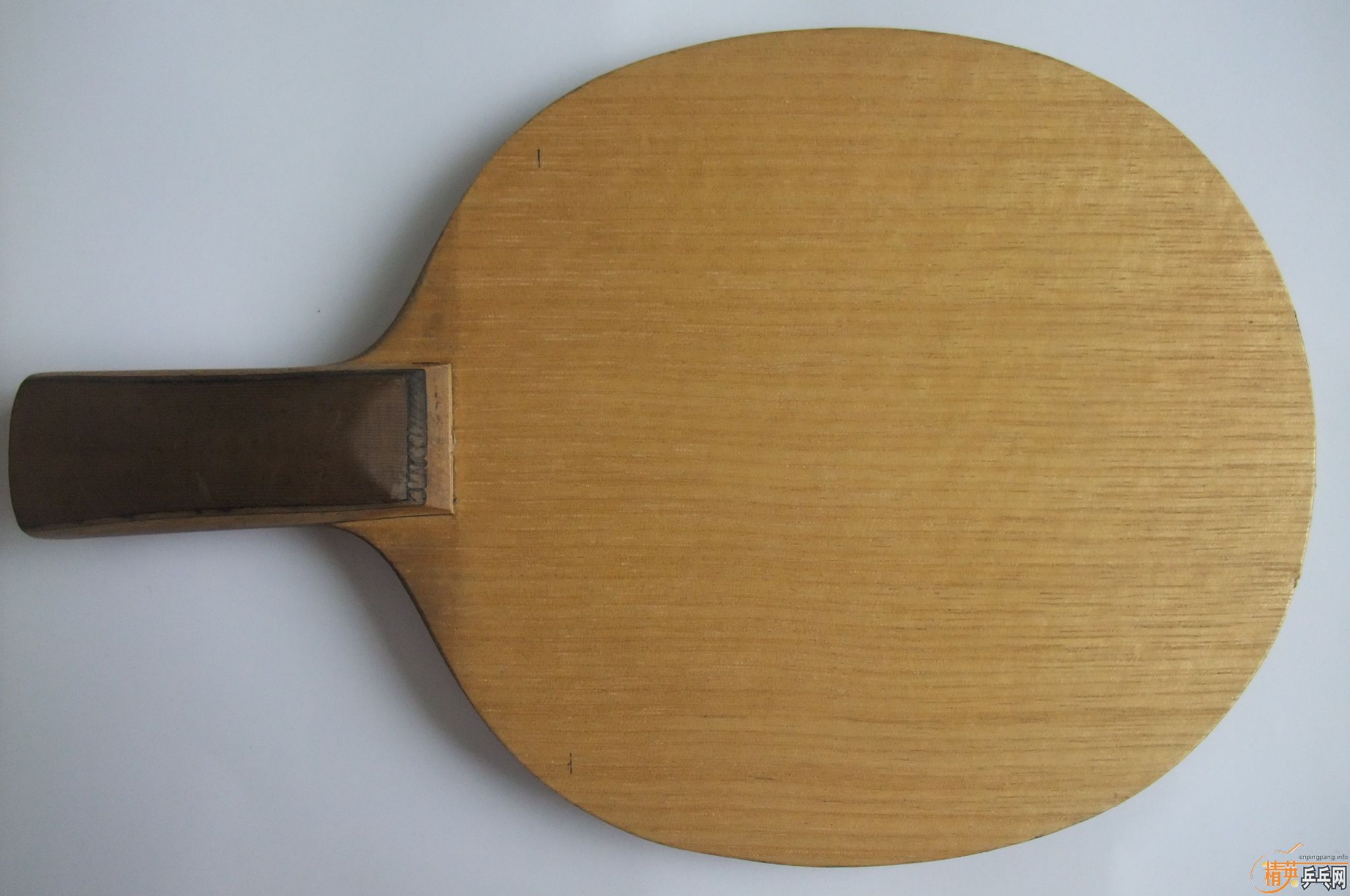 ���������������յڶ�������NittakuС���л�õ��5���������