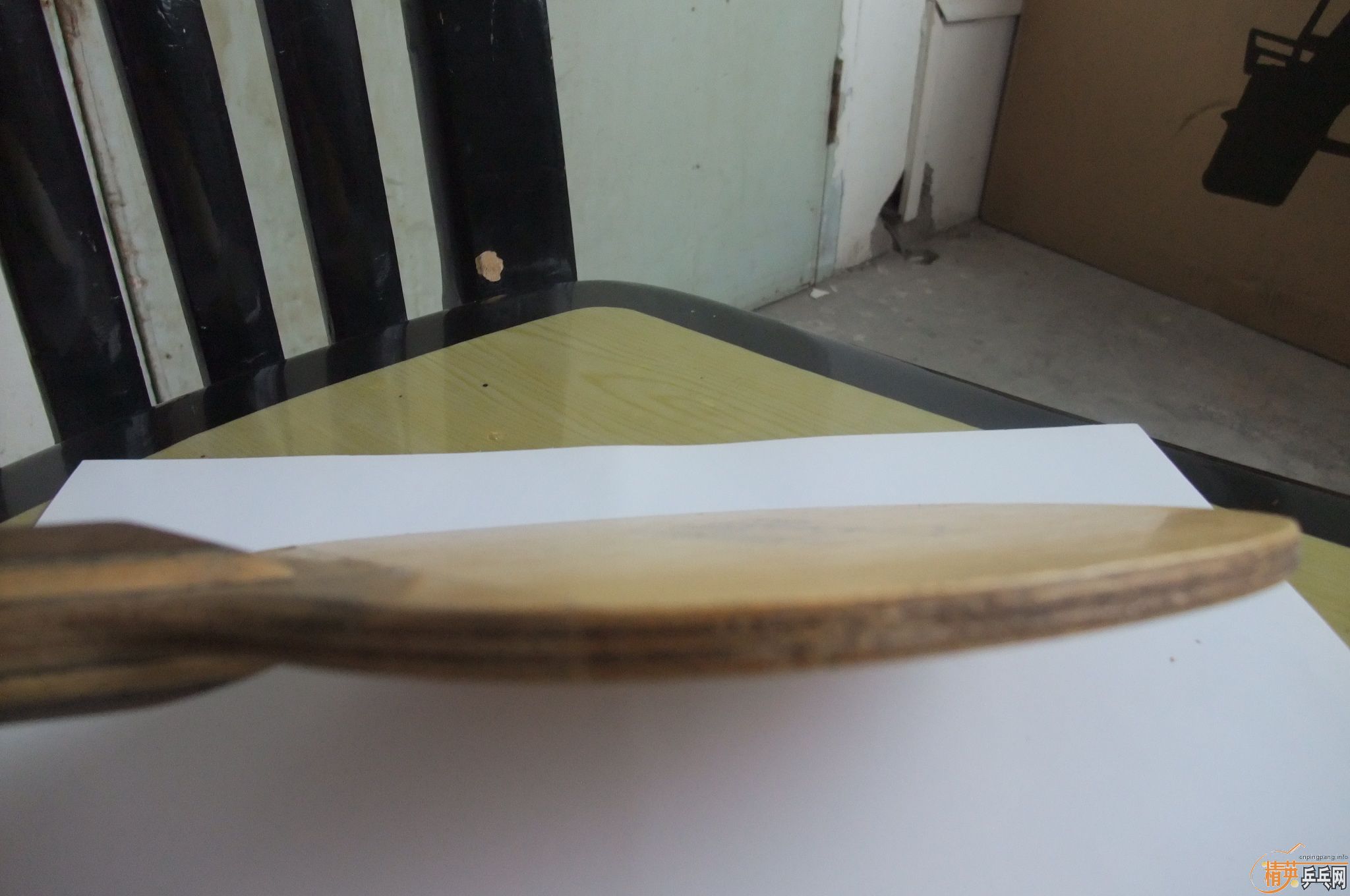 ���������������յڶ�������NittakuС���л�õ��5���������