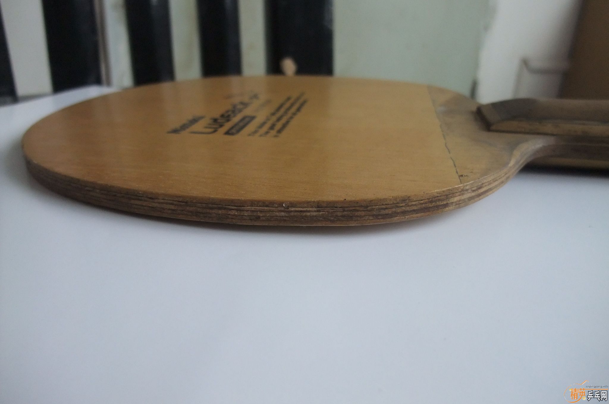 ���������������յڶ�������NittakuС���л�õ��5���������